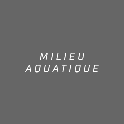 Collection - Milieu aquatique
